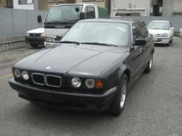 ゴールデンライオン事例1